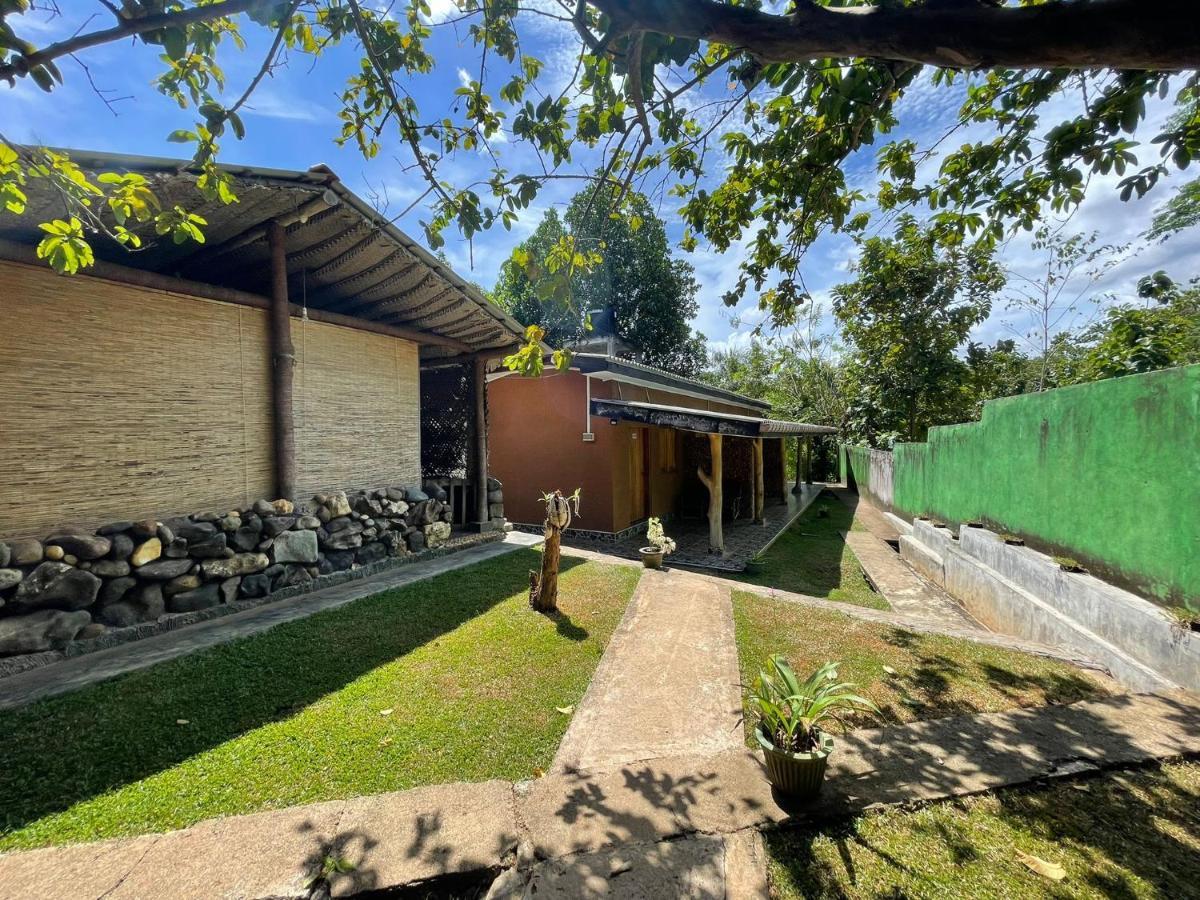 Palm Land Eco Resort And Safari Tours ウダワラウェ エクステリア 写真