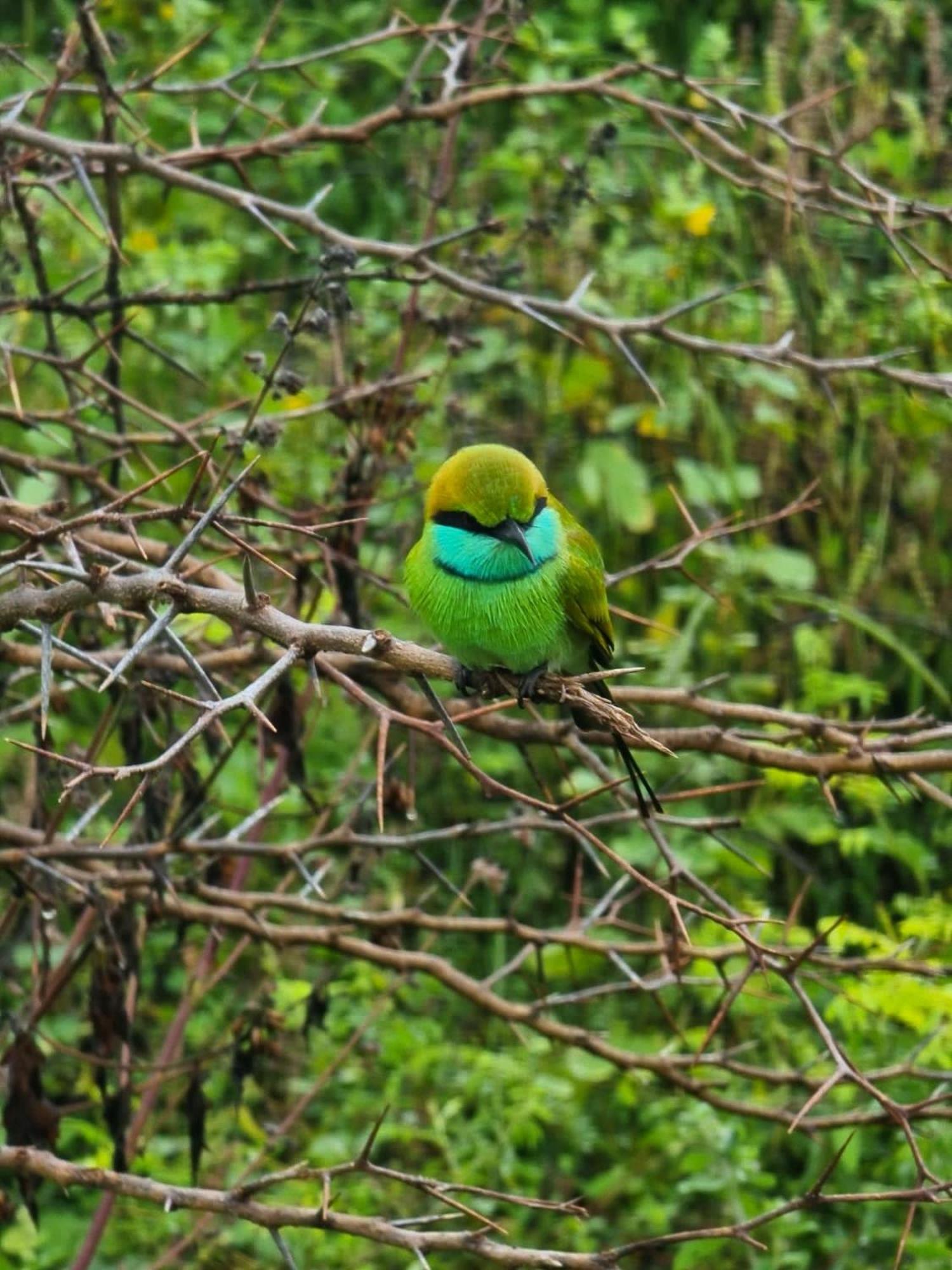 Palm Land Eco Resort And Safari Tours ウダワラウェ エクステリア 写真
